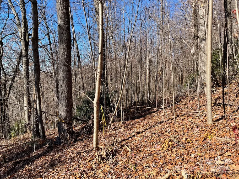 9999-1 Nesbitt Chapel Road Fairview, NC 28730
