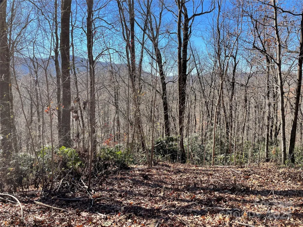 9999-1 Nesbitt Chapel Road Fairview, NC 28730