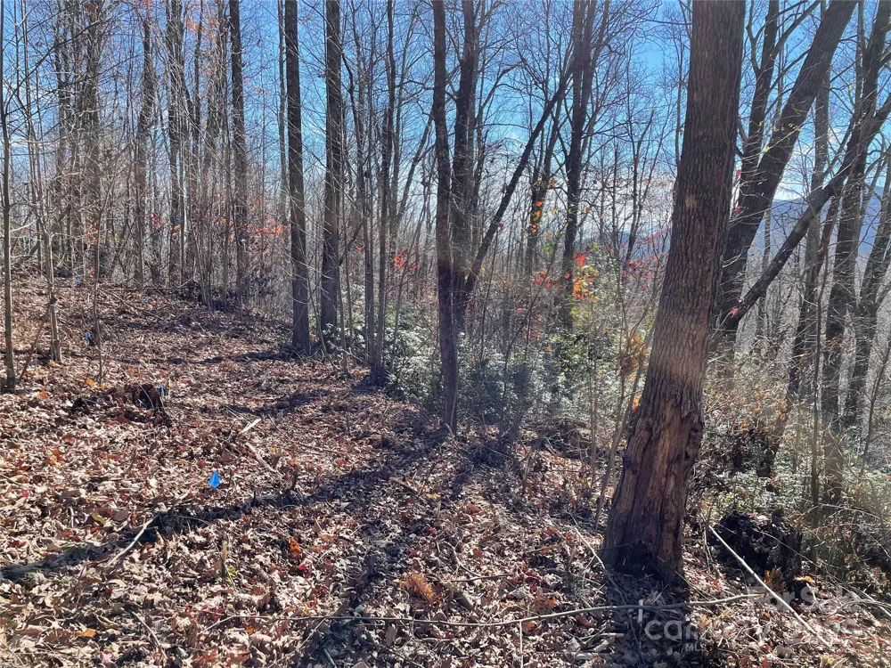 9999-1 Nesbitt Chapel Road Fairview, NC 28730