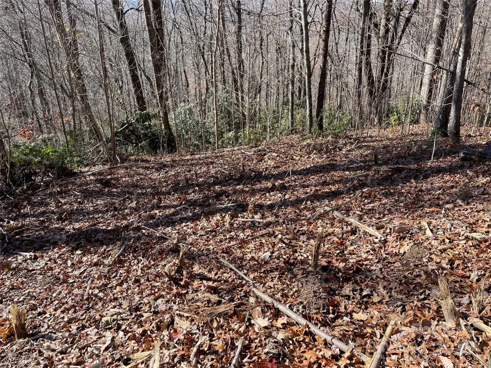 9999-1 Nesbitt Chapel Road Fairview, NC 28730