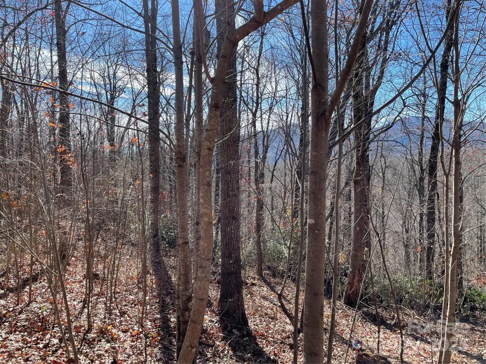 9999-1 Nesbitt Chapel Road Fairview, NC 28730