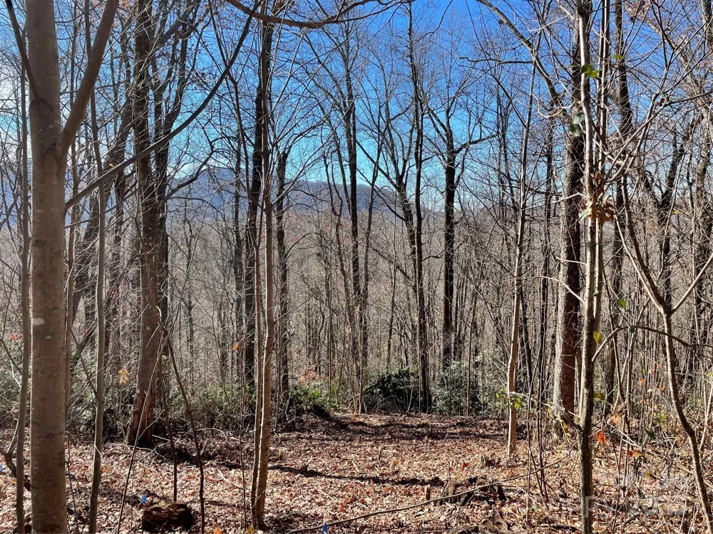 9999-1 Nesbitt Chapel Road Fairview, NC 28730