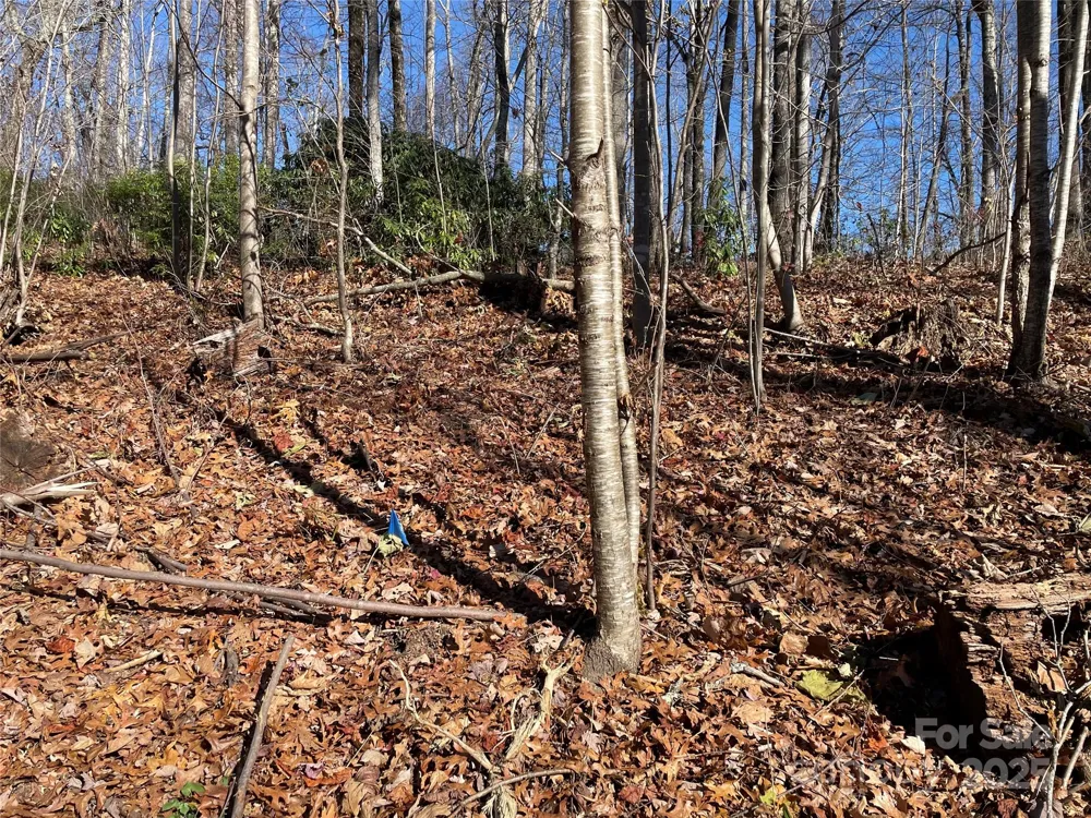 9999-1 Nesbitt Chapel Road Fairview, NC 28730