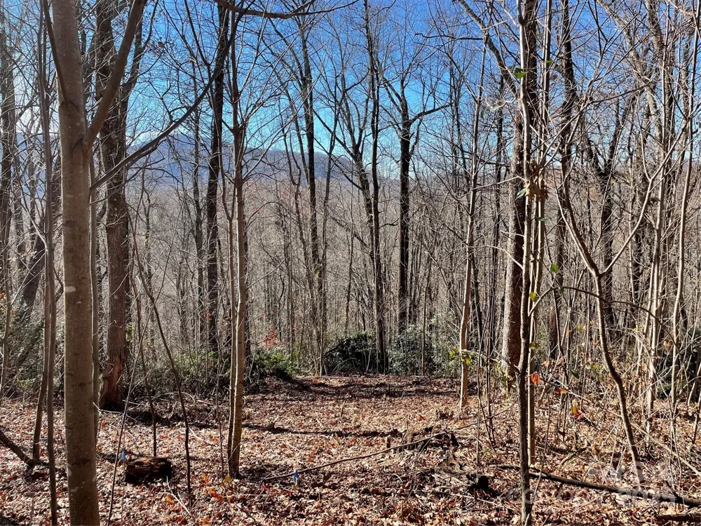 9999-1 Nesbitt Chapel Road Fairview, NC 28730