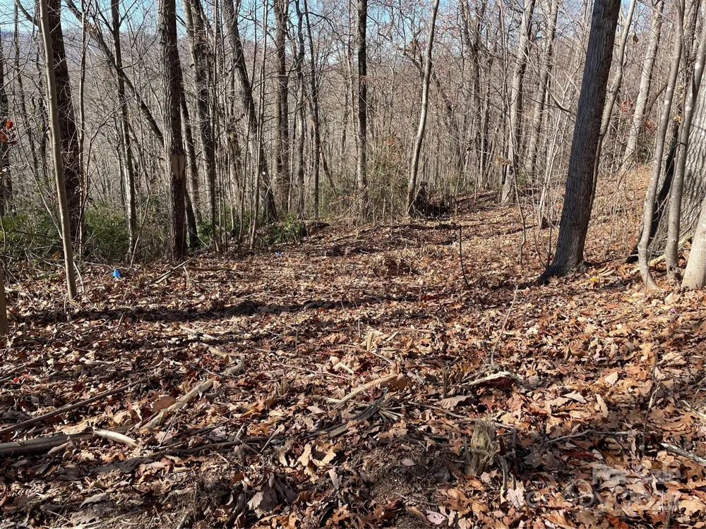 9999-1 Nesbitt Chapel Road Fairview, NC 28730