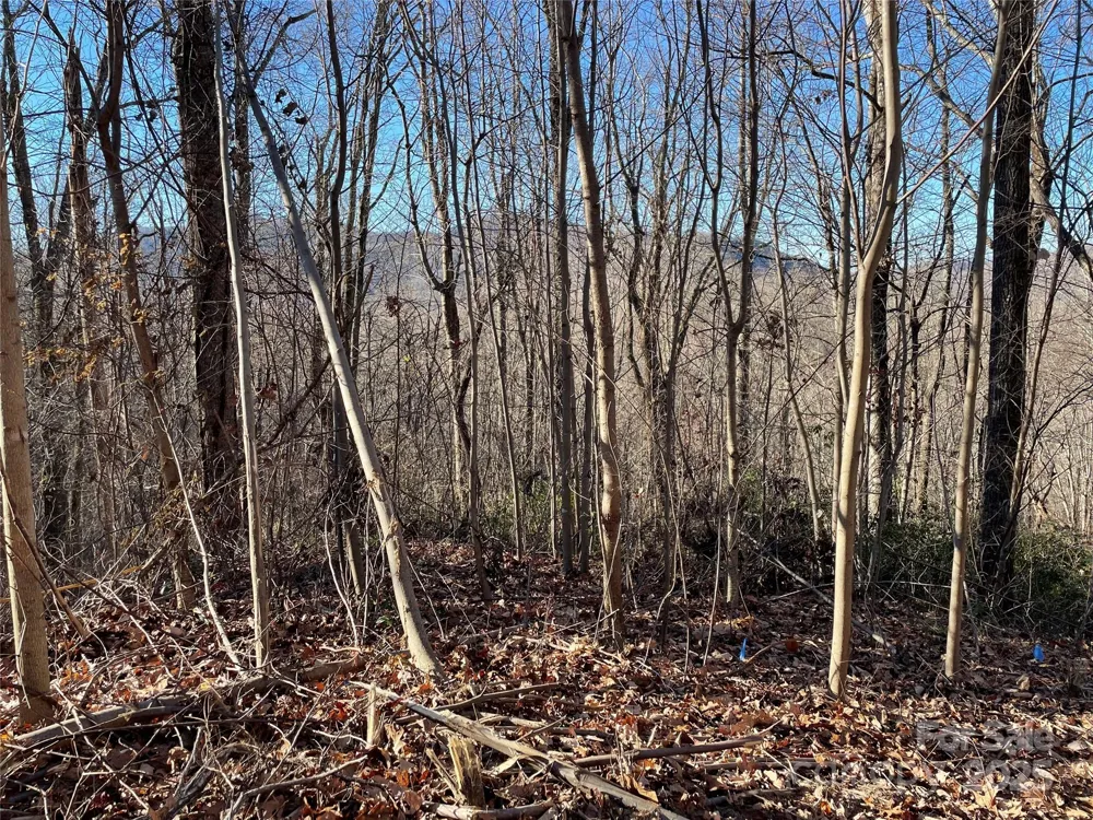9999-1 Nesbitt Chapel Road Fairview, NC 28730