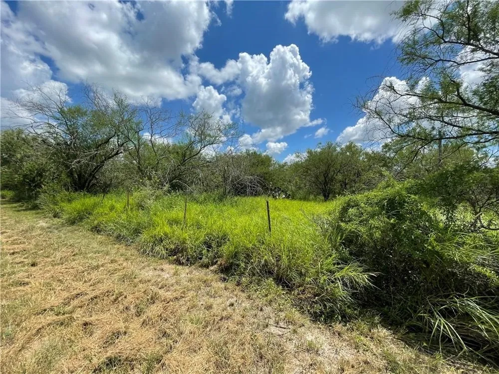 114 County Road 230 Orange Grove, TX 78372