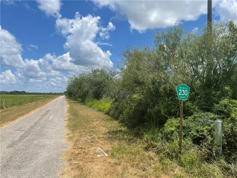 114 County Road 230 Orange Grove, TX 78372