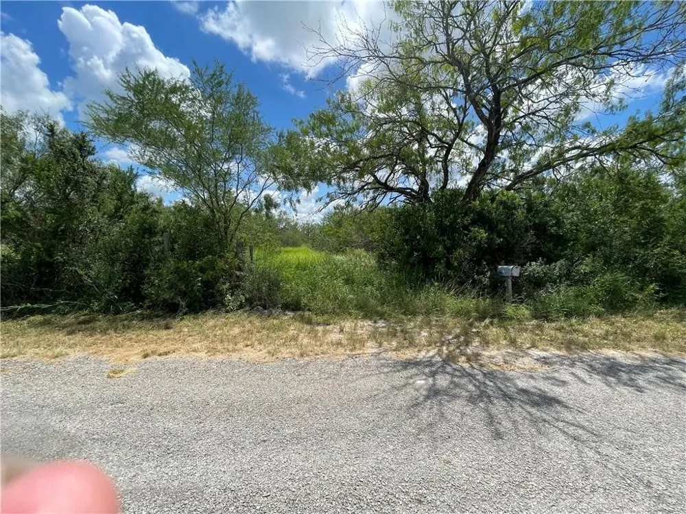 114 County Road 230 Orange Grove, TX 78372