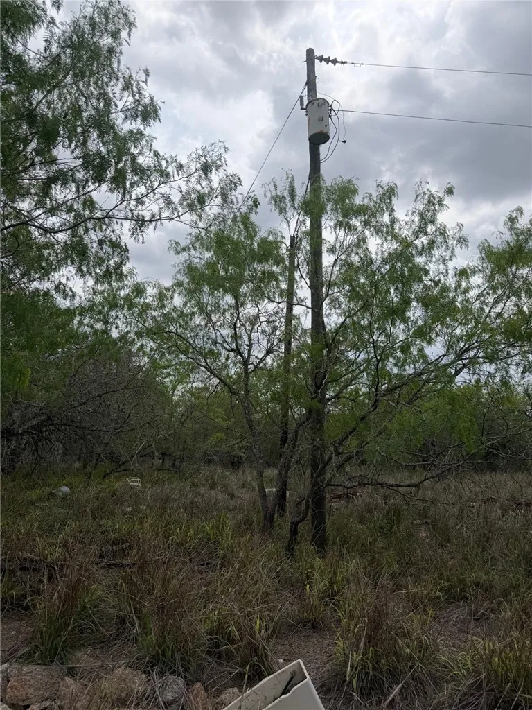 114 County Road 230 Orange Grove, TX 78372