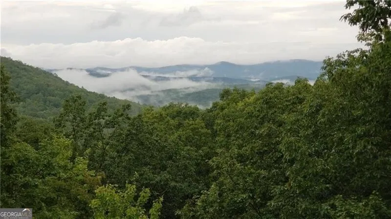 1012 Wild Turkey BLF Jasper, GA 30143