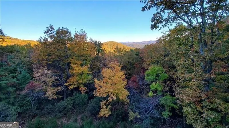 1012 Wild Turkey BLF Jasper, GA 30143