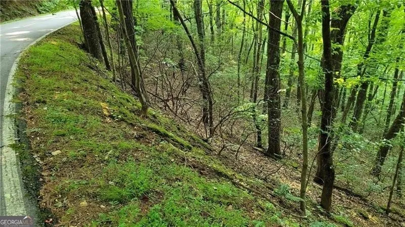 1012 Wild Turkey BLF Jasper, GA 30143