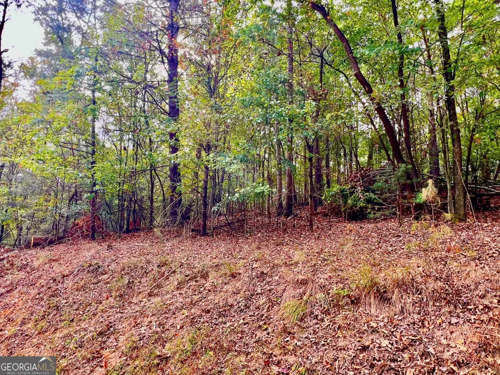 415 Chatawa CT Ellijay, GA 30540