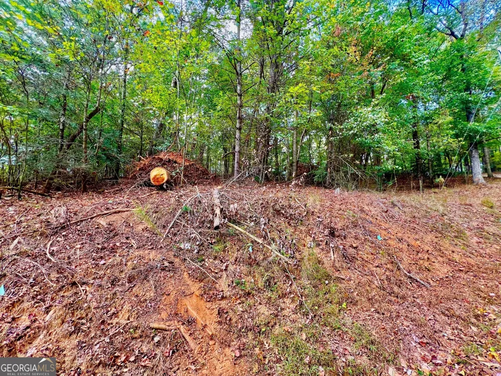 415 Chatawa CT Ellijay, GA 30540