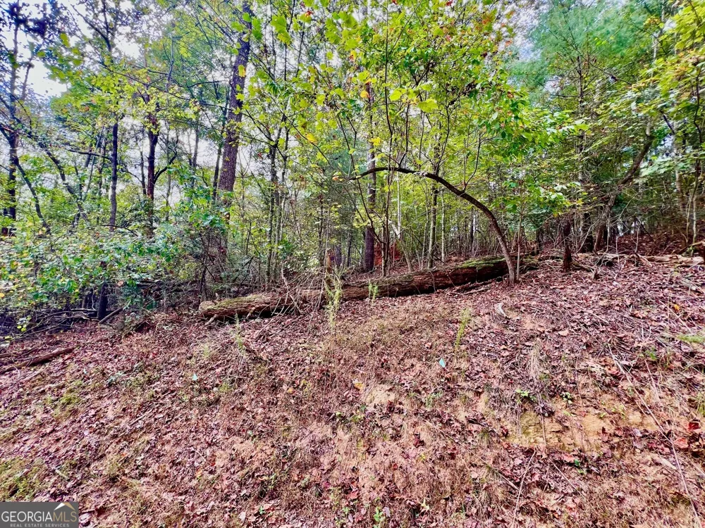 415 Chatawa CT Ellijay, GA 30540