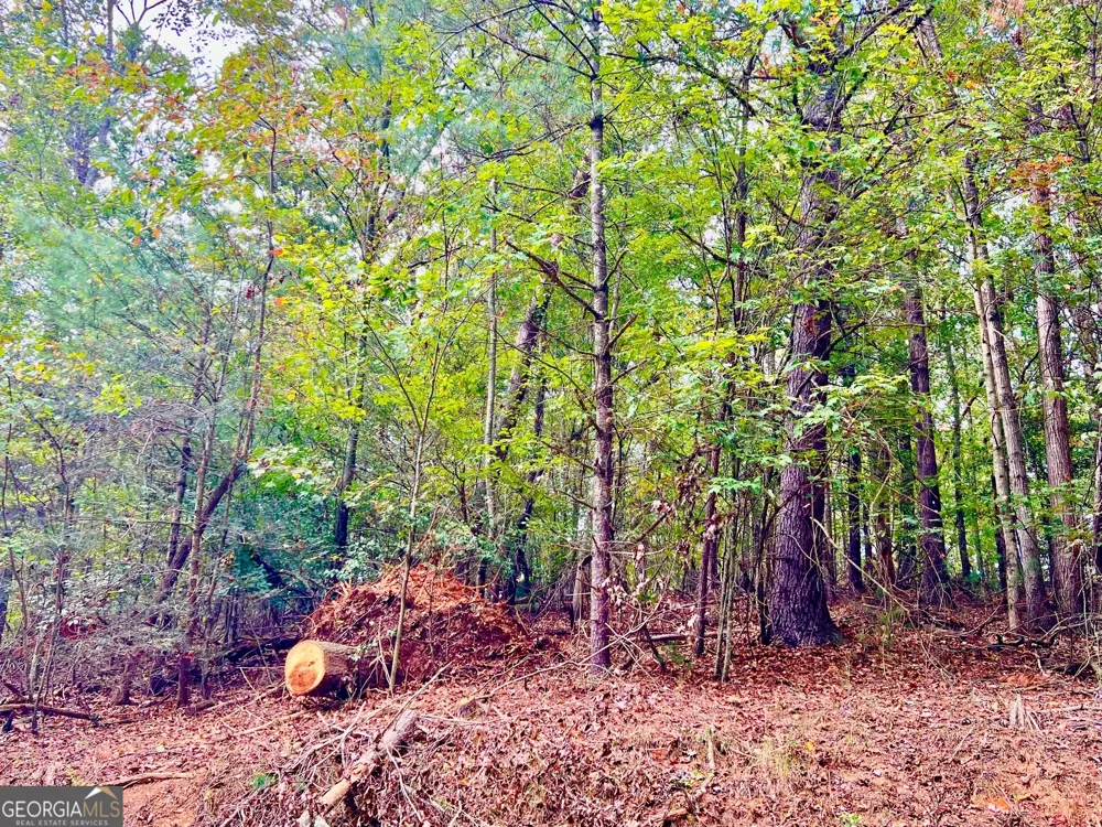 415 Chatawa CT Ellijay, GA 30540