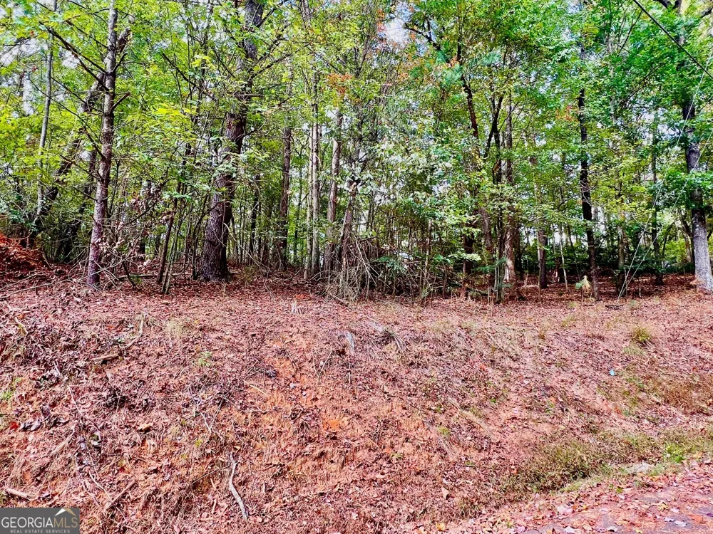 415 Chatawa CT Ellijay, GA 30540