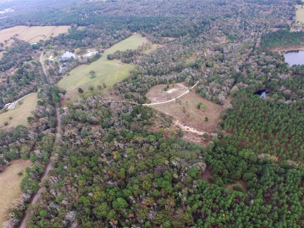 Fm-1990 Palestine, TX 75801