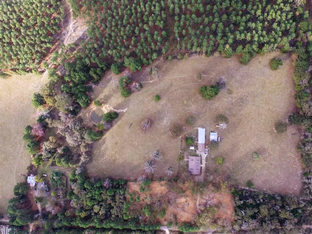 Fm-1990 Palestine, TX 75801