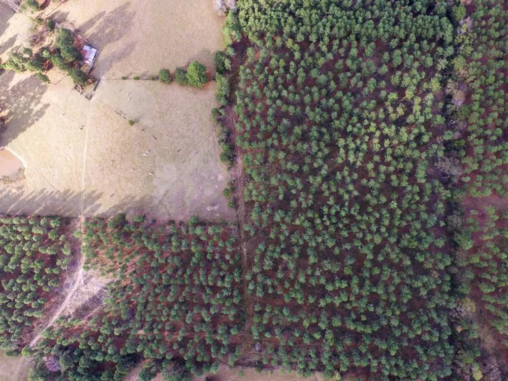 Fm-1990 Palestine, TX 75801