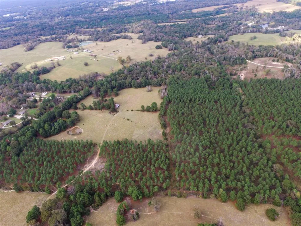 Fm-1990 Palestine, TX 75801