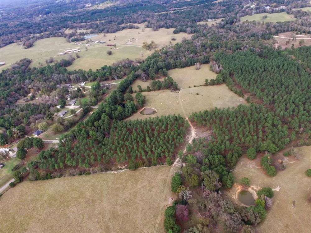 Fm-1990 Palestine, TX 75801