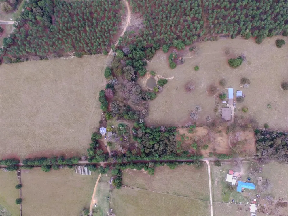 Fm-1990 Palestine, TX 75801