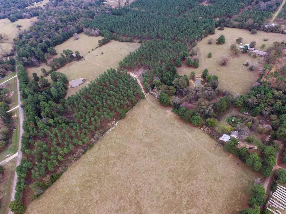 Fm-1990 Palestine, TX 75801