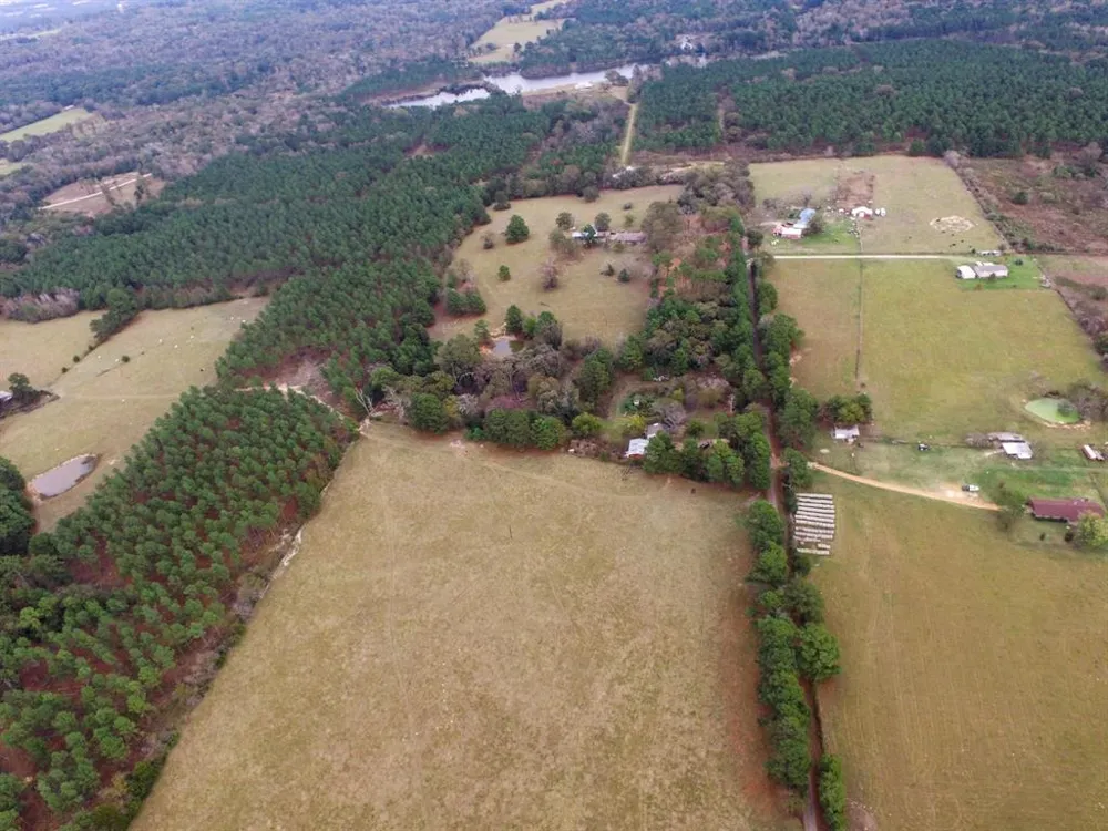 Fm-1990 Palestine, TX 75801