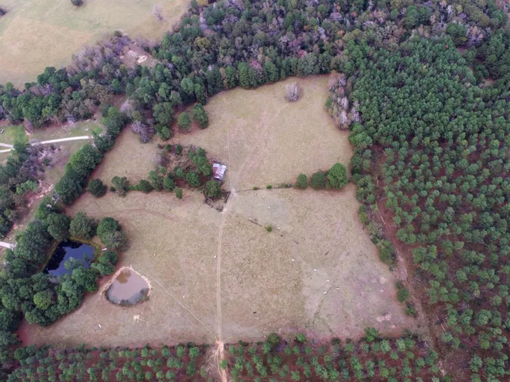 Fm-1990 Palestine, TX 75801
