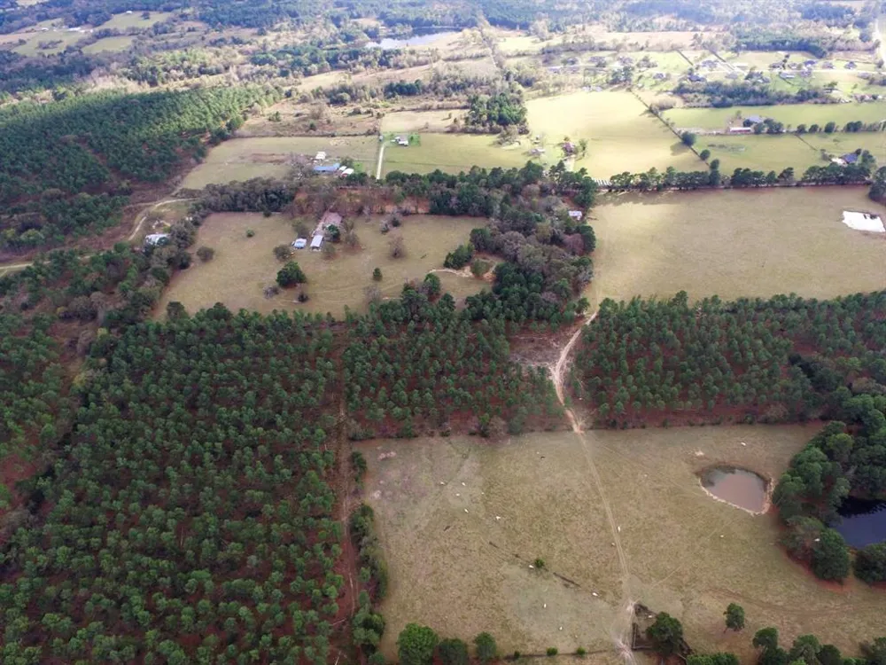 Fm-1990 Palestine, TX 75801