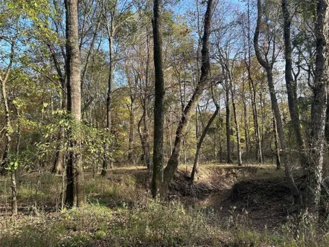 COUNTY ROAD 1412