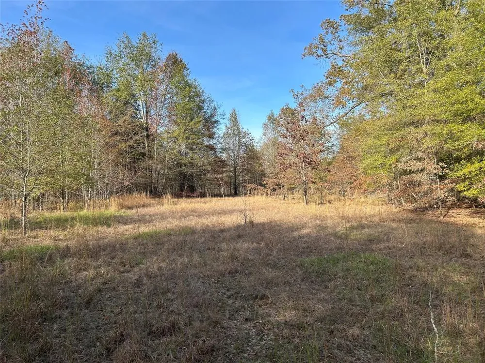 COUNTY ROAD 1412 Bogata, TX 75416