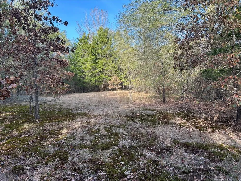 COUNTY ROAD 1412 Bogata, TX 75416