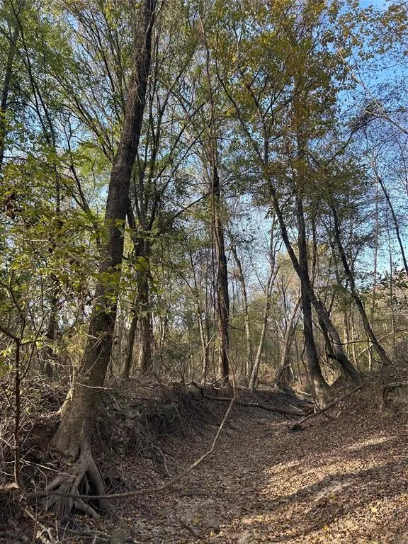 COUNTY ROAD 1412 Bogata, TX 75416