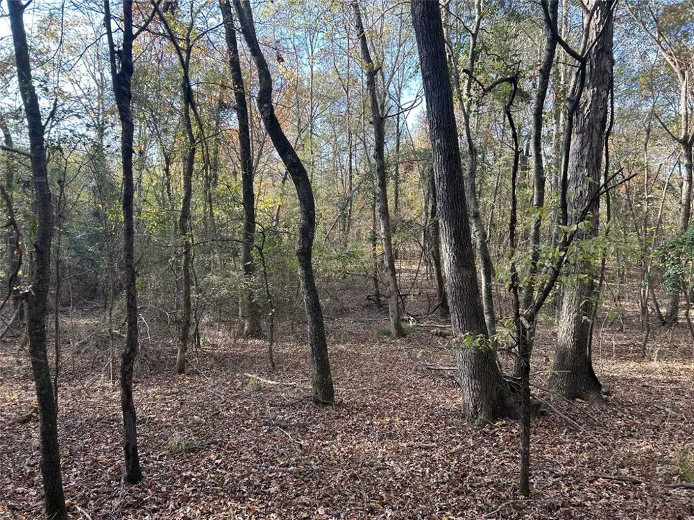 COUNTY ROAD 1412 Bogata, TX 75416