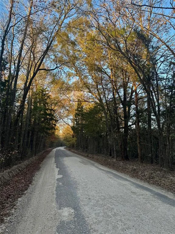 COUNTY ROAD 1412 Bogata, TX 75416