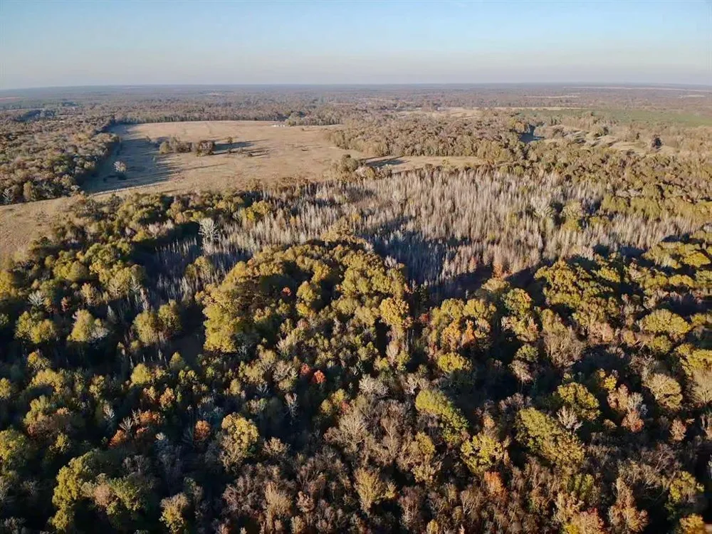 COUNTY ROAD 1412 Bogata, TX 75416