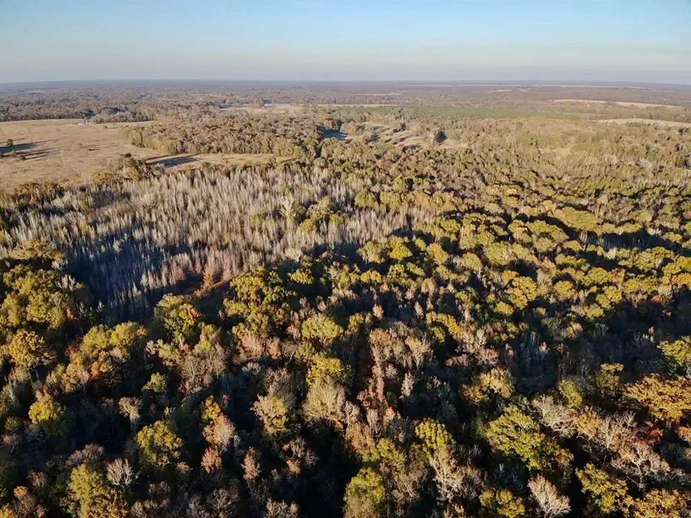 COUNTY ROAD 1412 Bogata, TX 75416