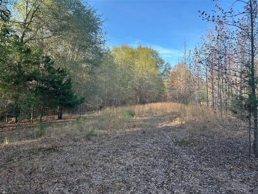 COUNTY ROAD 1412 Bogata, TX 75416