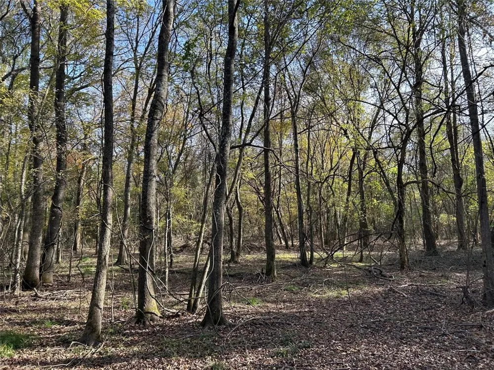 COUNTY ROAD 1412 Bogata, TX 75416