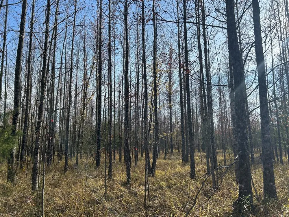 COUNTY ROAD 1412 Bogata, TX 75416