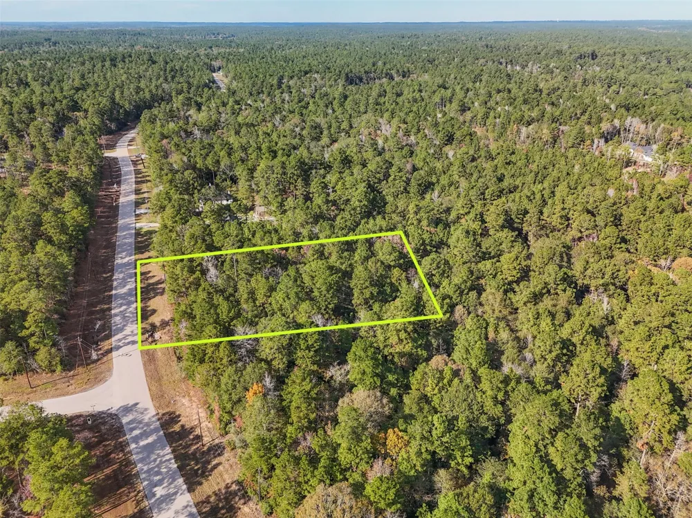 Windmill Road New Waverly, TX 77358