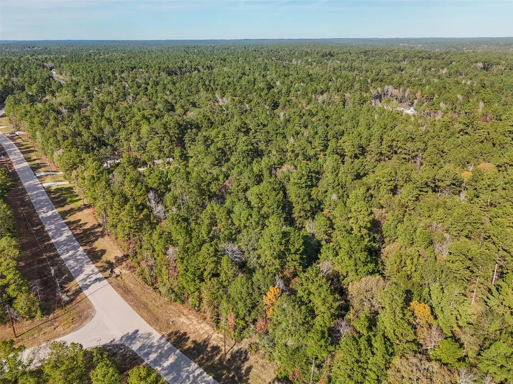 Windmill Road New Waverly, TX 77358