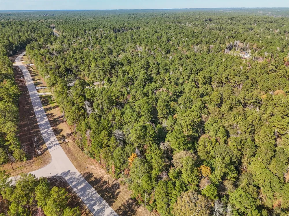 Windmill Road New Waverly, TX 77358
