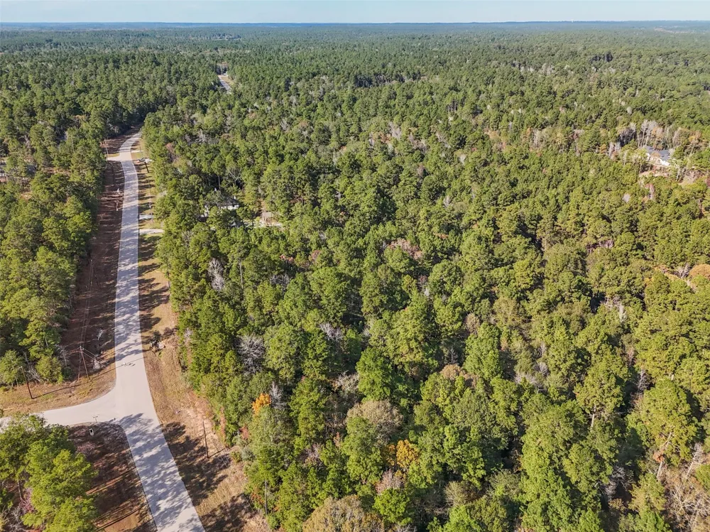 Windmill Road New Waverly, TX 77358