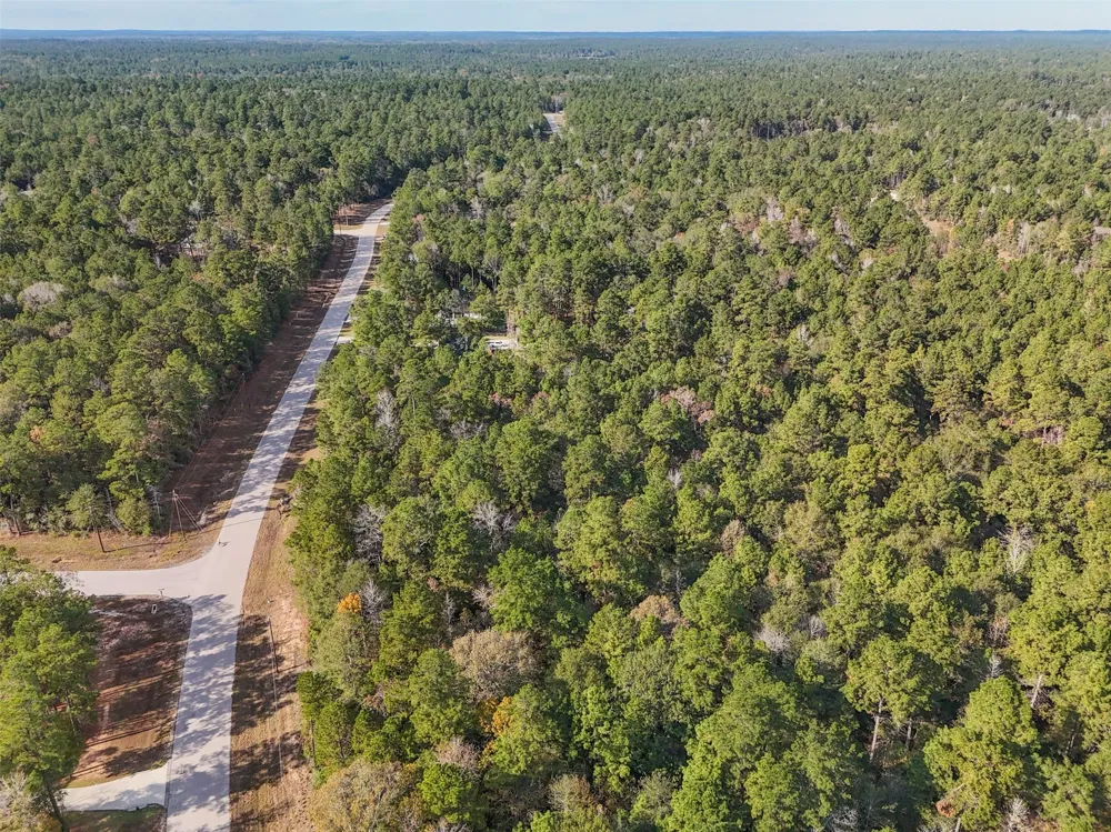 Windmill Road New Waverly, TX 77358