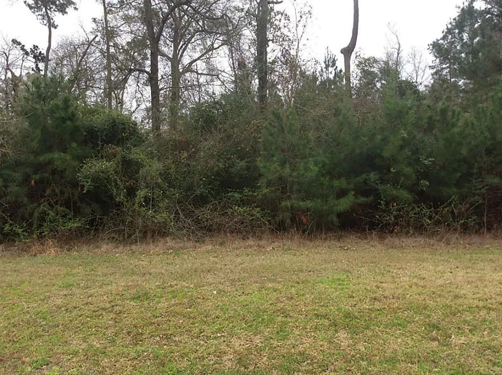 Windmill Road New Waverly, TX 77358