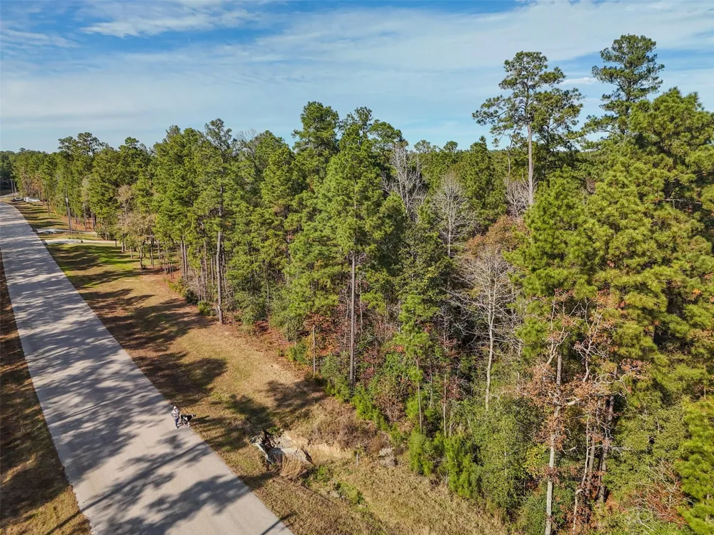 Windmill Road New Waverly, TX 77358